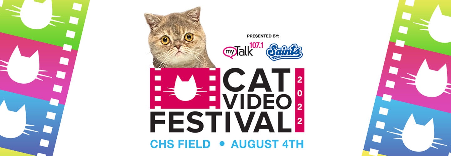 Cat Video Festival 2022