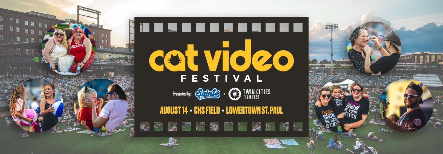 Cat Video Festival